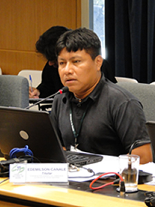Secretaria Especial de Saúde Indígena é apresentada ao Pleno do CNS